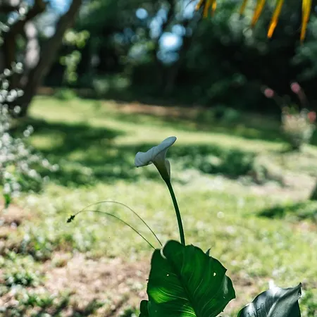 Casa de hóspedes Le Logis Du Rocher 3*