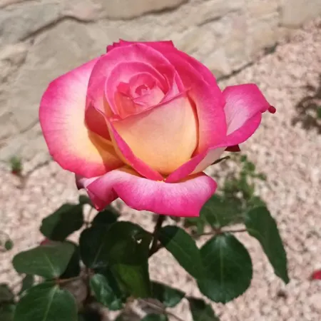 Le Logis Du Rocher Casa de hóspedes