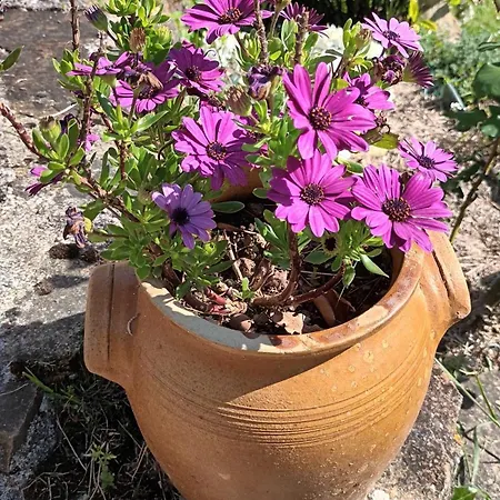 Le Logis Du Rocher Casa de hóspedes