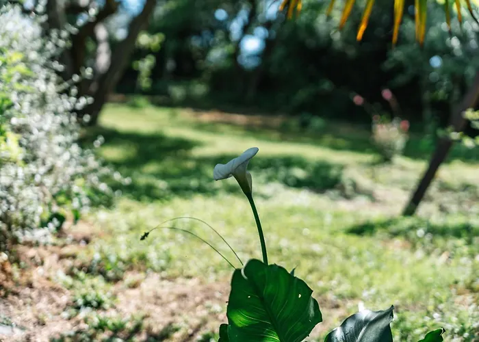 ゲストハウス Le Logis Du Rocher 3*