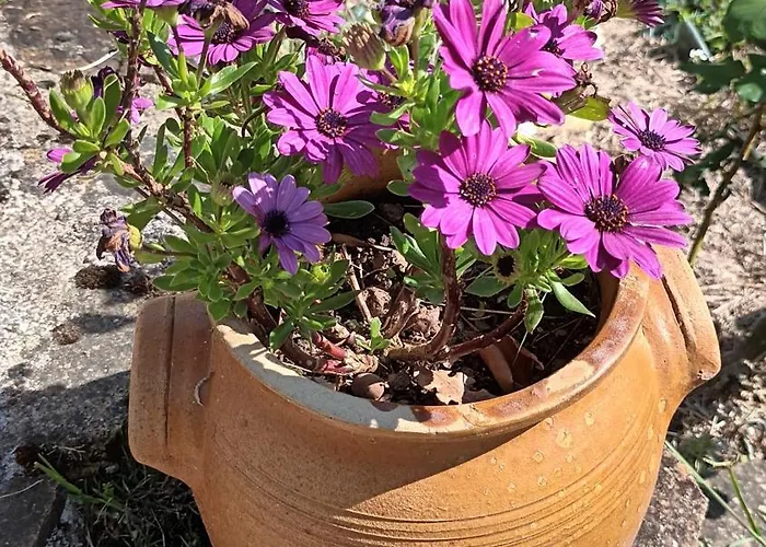 Le Logis Du Rocher ゲストハウス